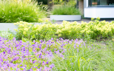 (Aankomend) Hovenier