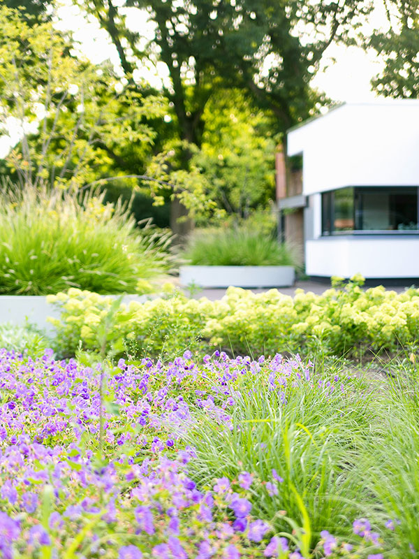 vacature-aankomend_hovenier